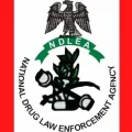 NDLEA