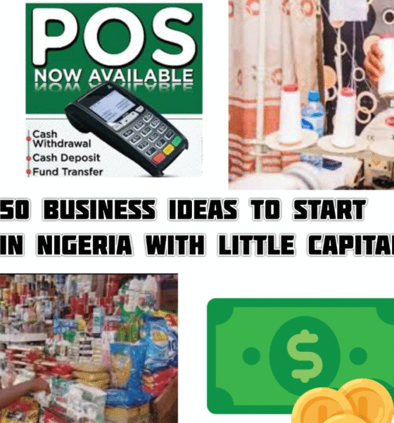 50 Business Ideas to Start in Nigeria with Little Capital