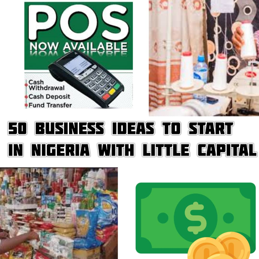 50 Business Ideas to Start in Nigeria with Little Capital